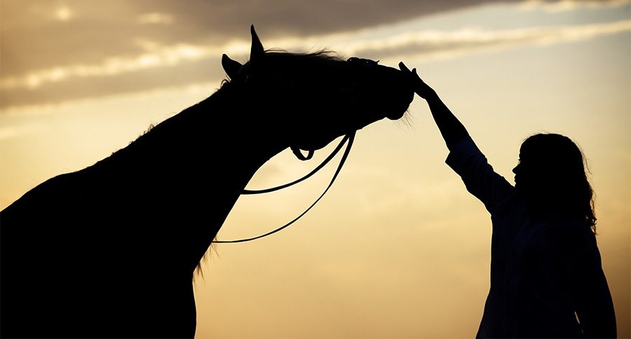 Woman and horse silhouette
