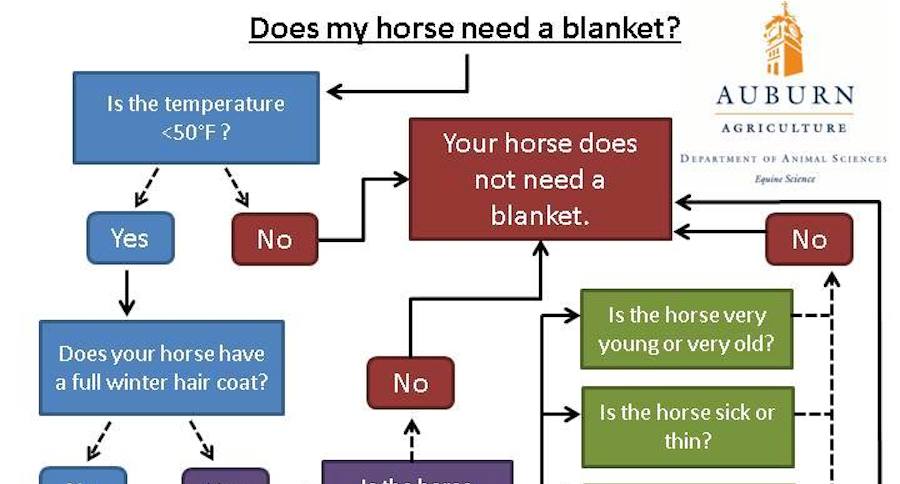 Horse blanketing poster