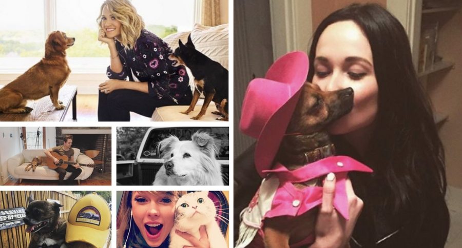 country music stars pets