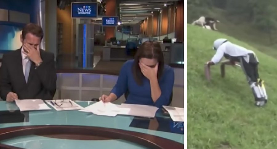 goat man news anchor