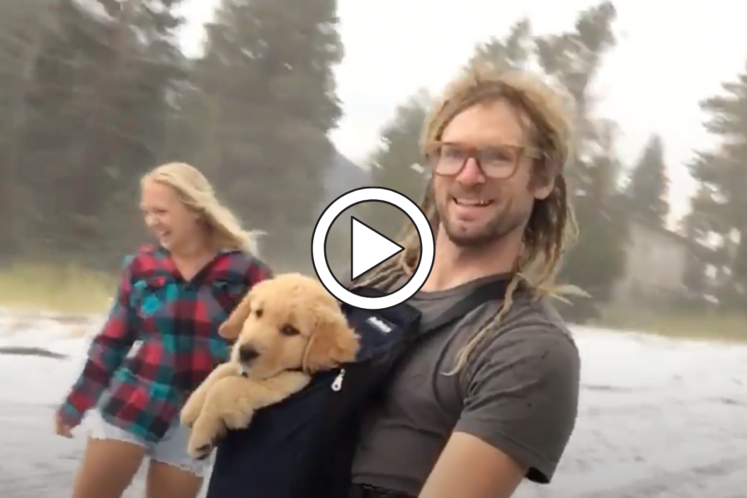 Puppy Goes Snowboarding for first time.