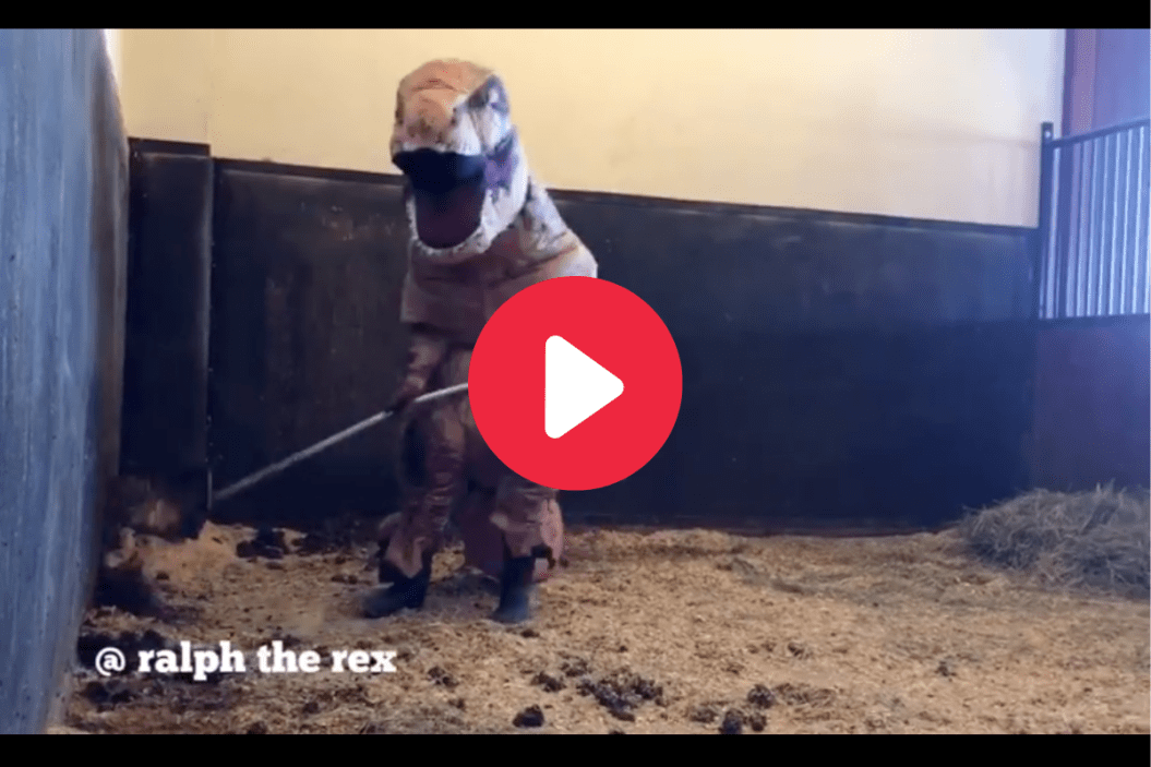 T-Rex does barn chores in funny video.