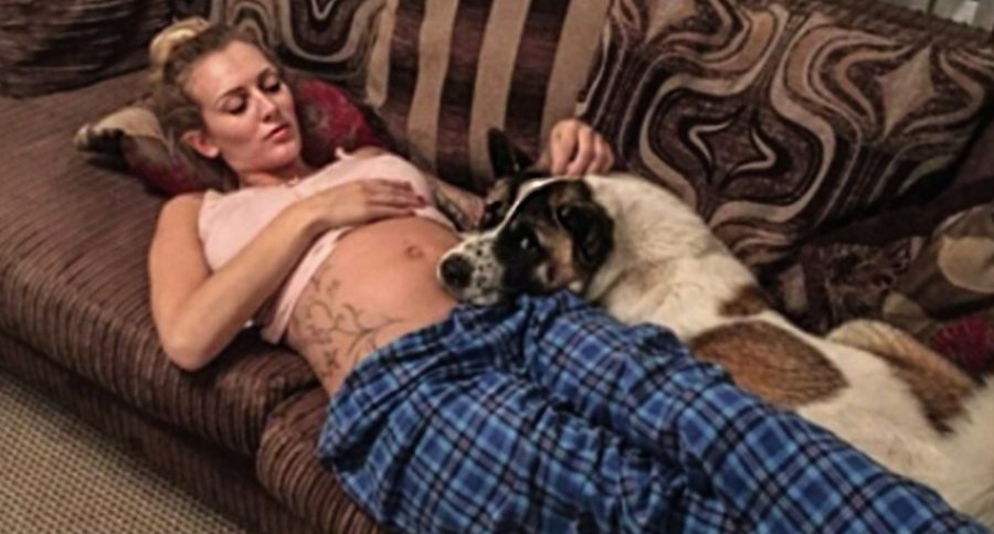 pregnant woman and dog