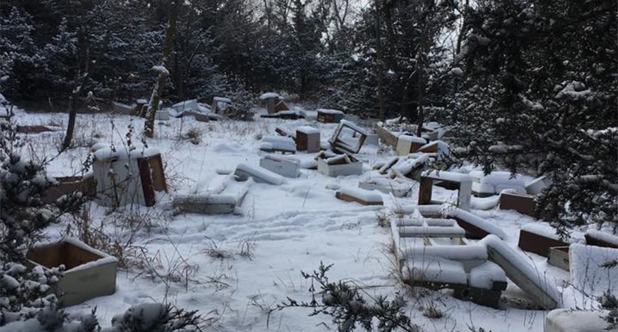 vandalized bee hives