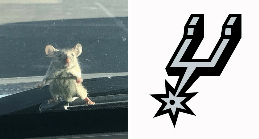 mouse rides on police car