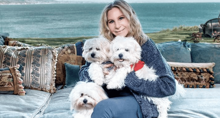 Barbra streisand cloned her dogs