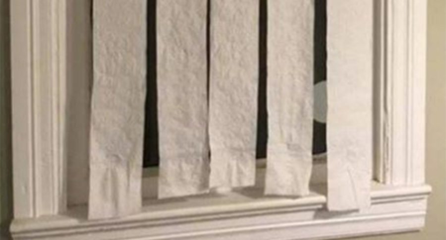 toilet paper blinds