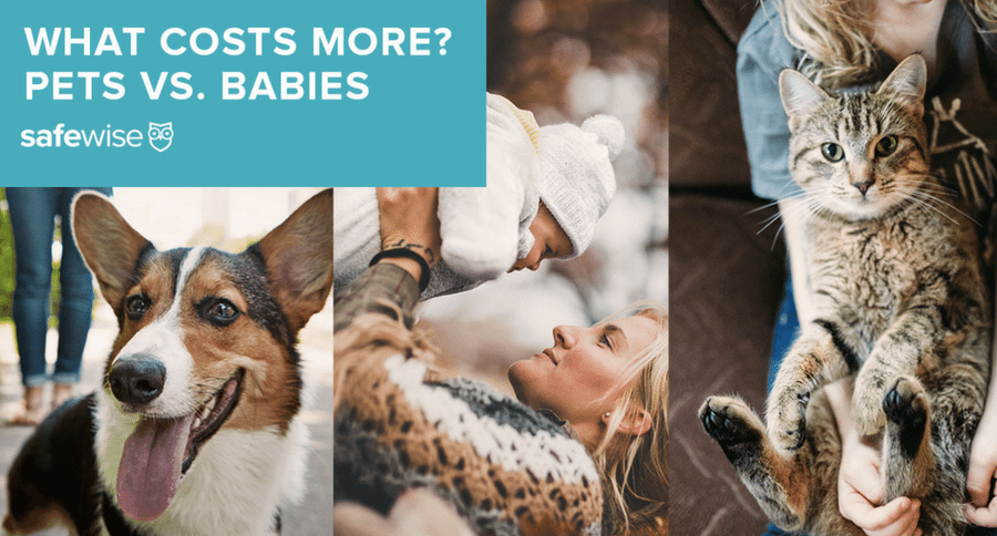 what costs more, babies or pets_