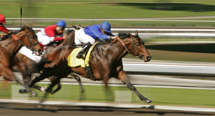 Santa Anita Horse Racing Track Death (1)