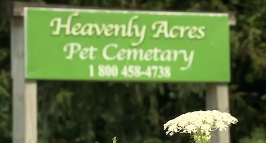 Pet Cemetery
