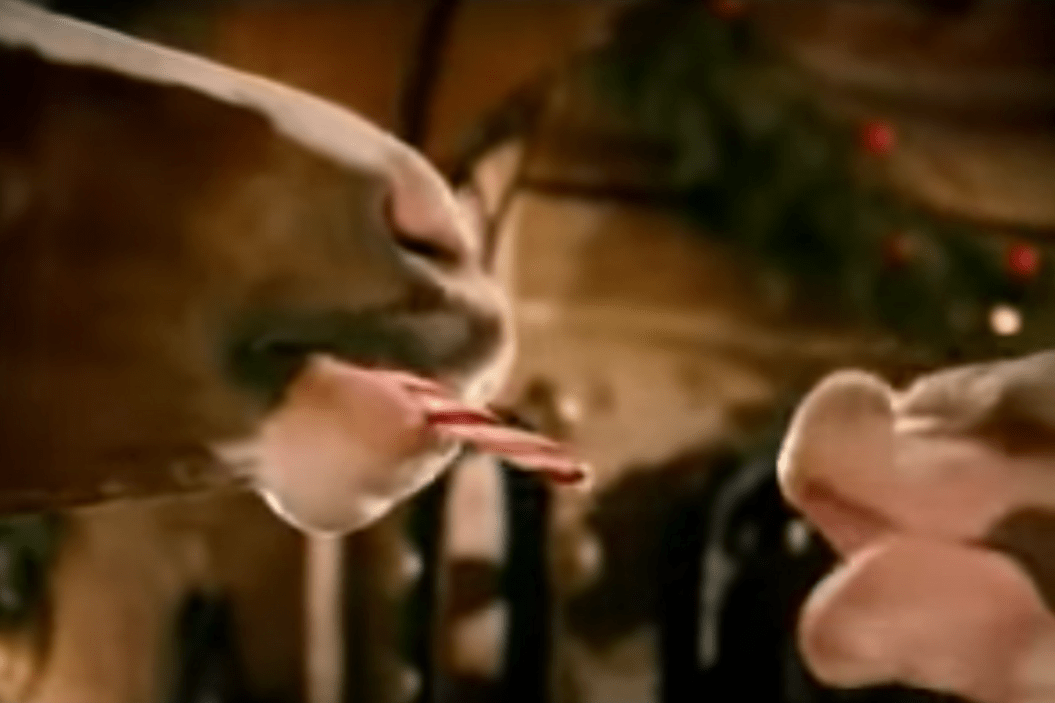 Budweiser Clydesdale Christmas Commercial
