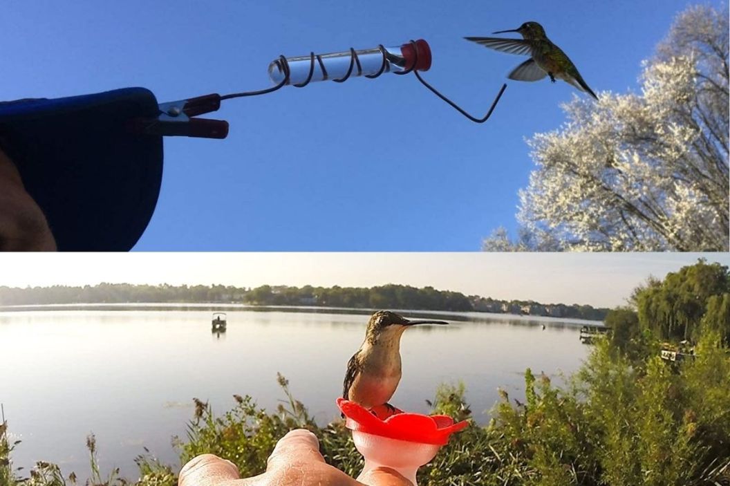 hummingbird hat and ring feeder