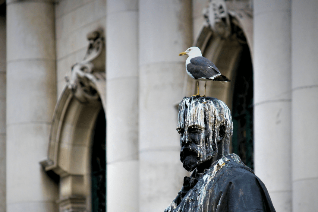 Bird sits on a poop covered statue.