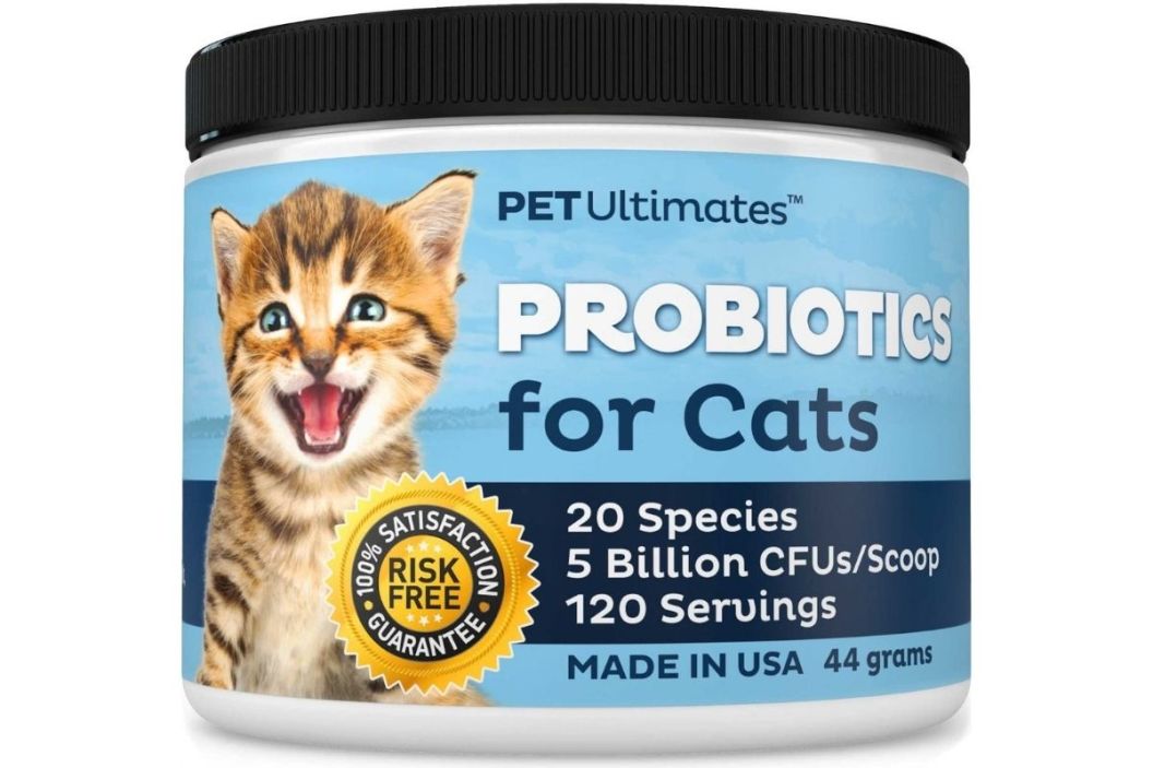 best cat probiotics