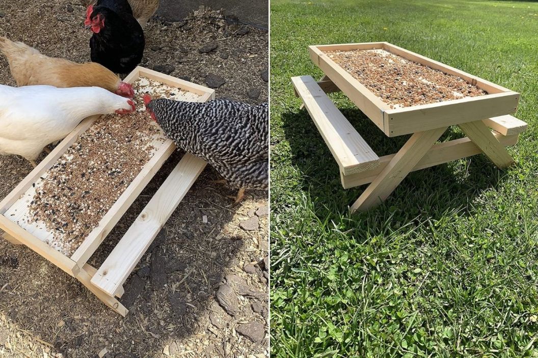 picnic table for chickens