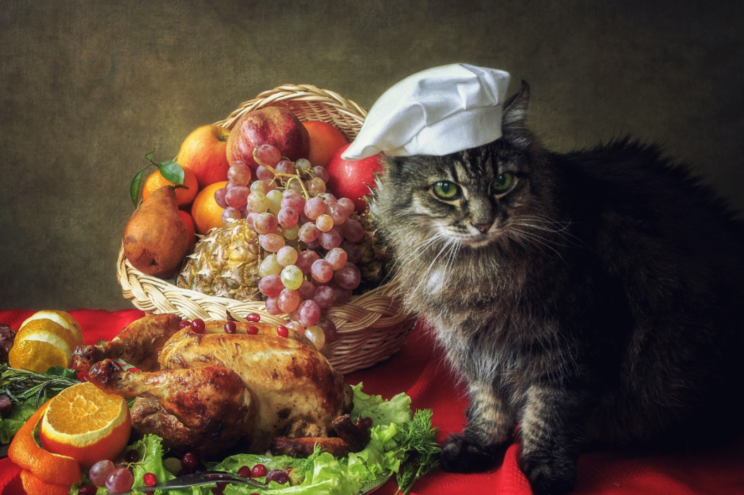 Thanksgiving Food, Cats