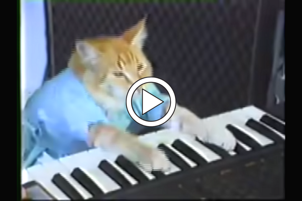YouTube's famous "Keyboard Cat."