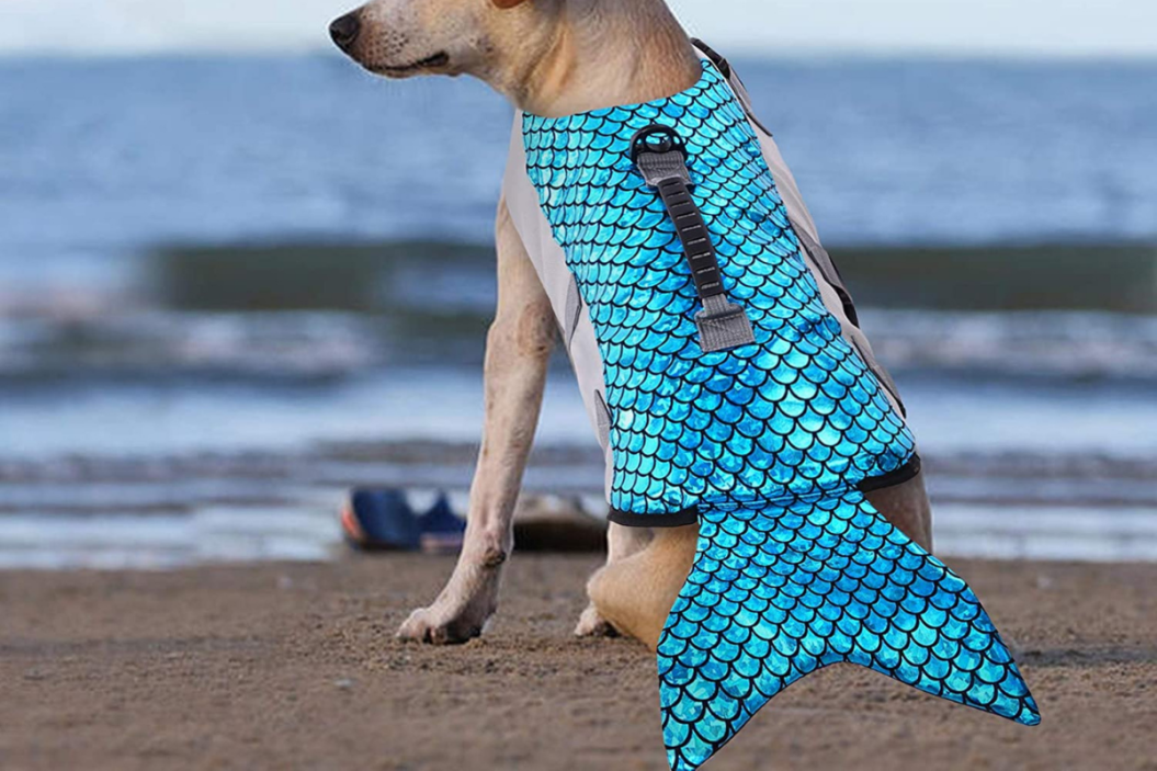 mermaid dog life jacket