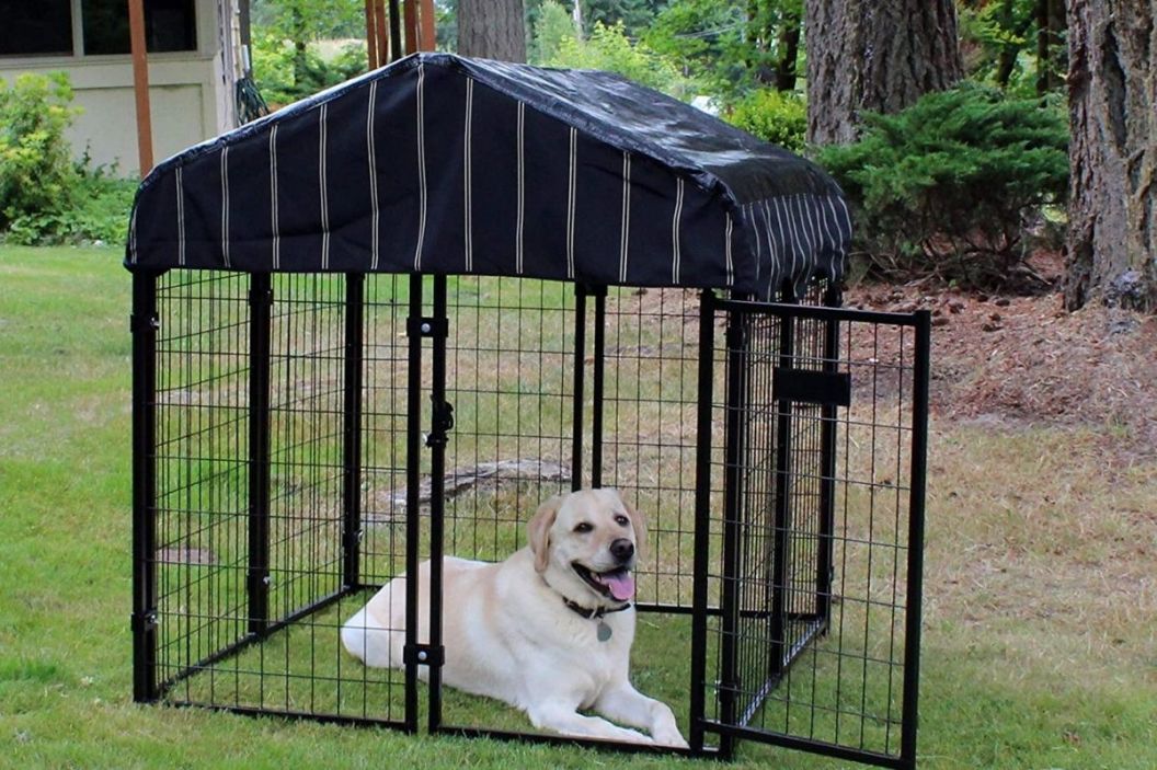 Lucky dog kennel