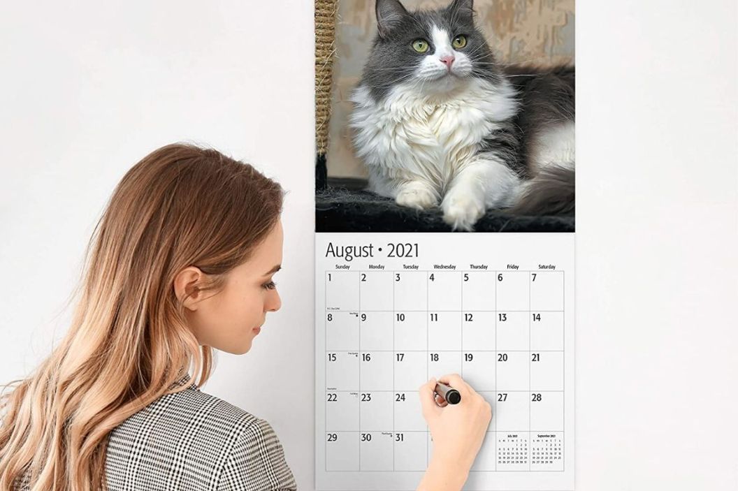 cat calendar