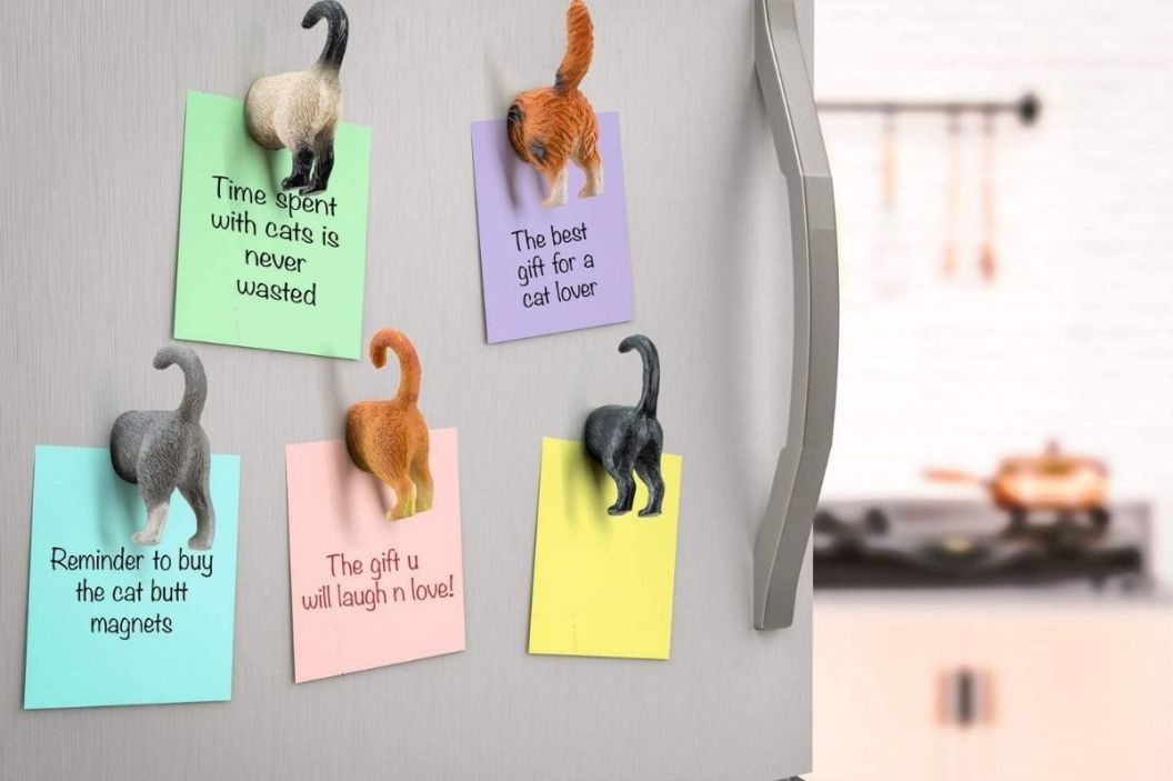 cat refrigerator magnet