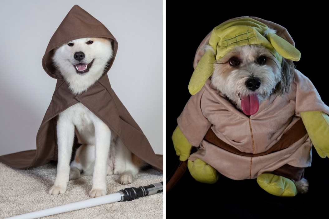 Pair of dogs dressed up like Star Wars characters.