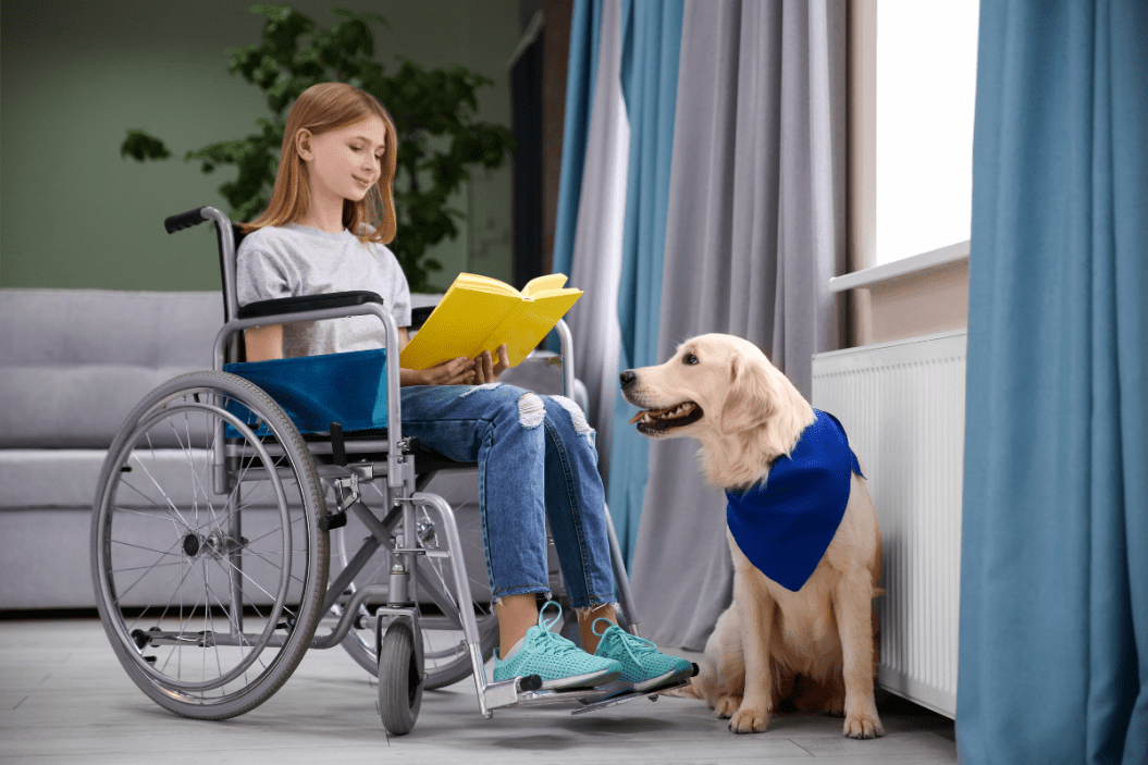 dog sits with girl in wheelchair