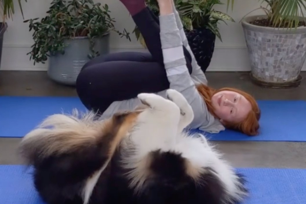 secret the yoga dog
