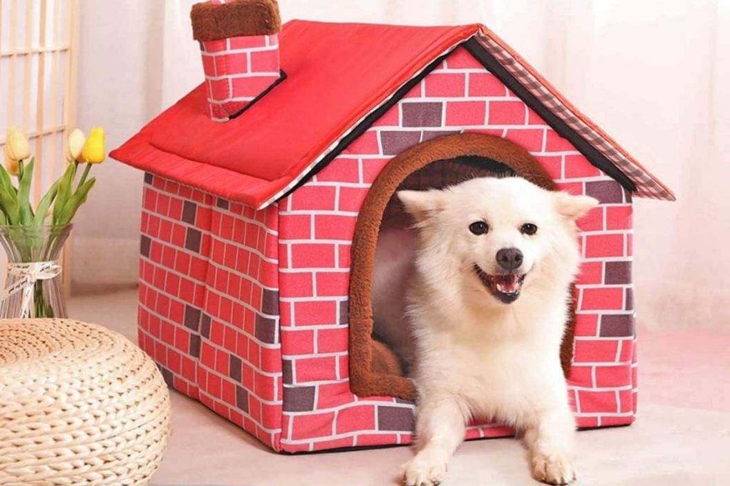 indoor dog house