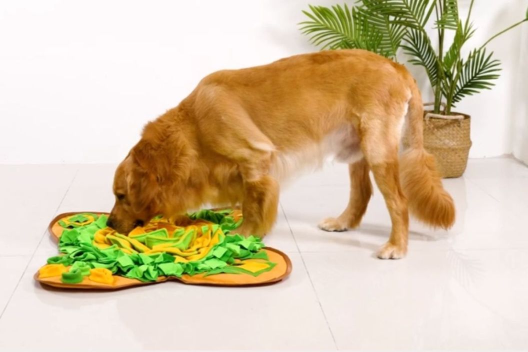 snuffle mat for dogs