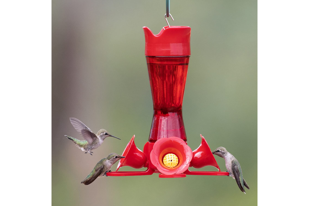 Perky-Pet 203CPBR Pinchwaist Hummingbird Feeder, Red Glass