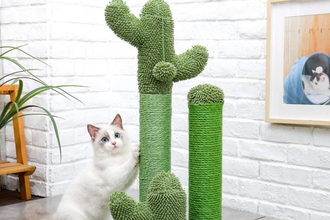 cactus cat scratching post