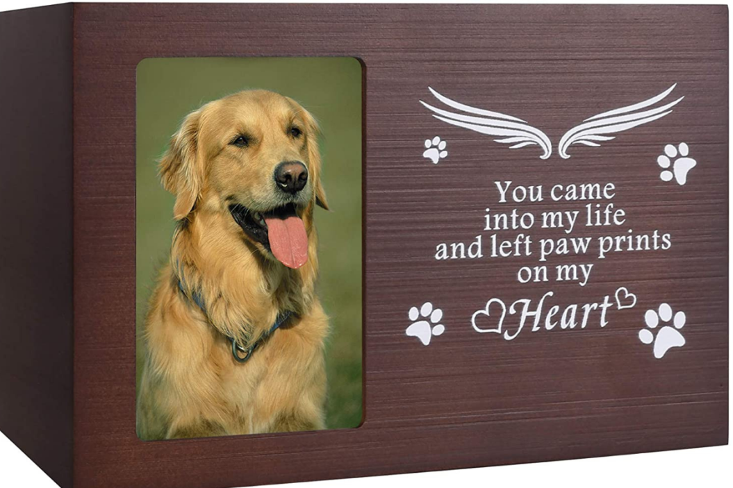 Dog Urn With Picture