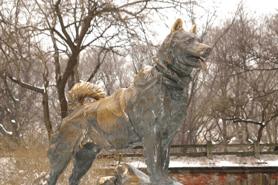 Balto dog statue in Central Park, New York.