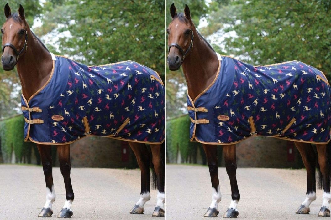 horse cooling blanket