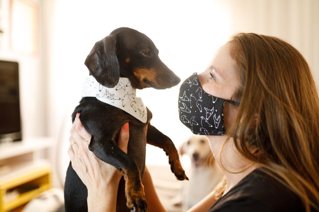 funny dog face mask woman with dog