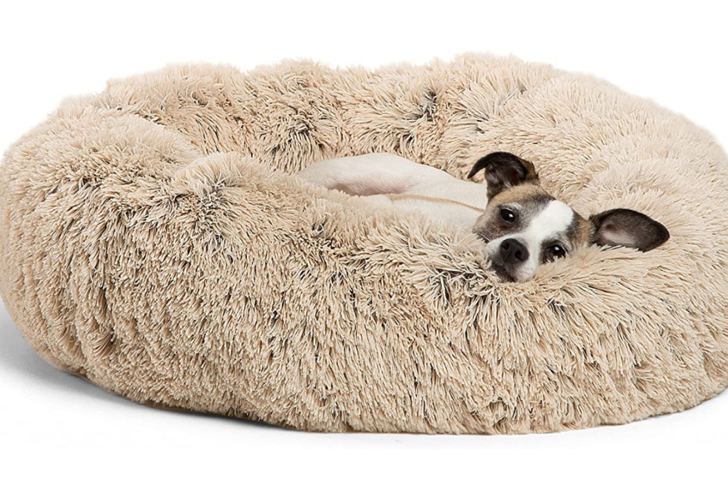best Calming Dog Bed