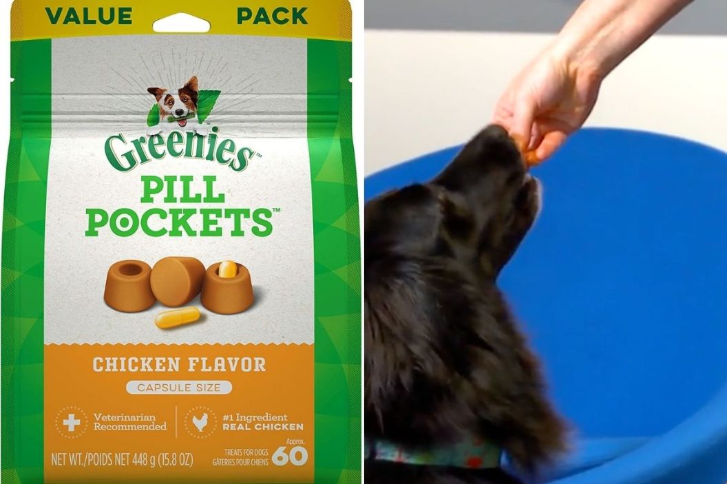 Pill pocket treats for dogs