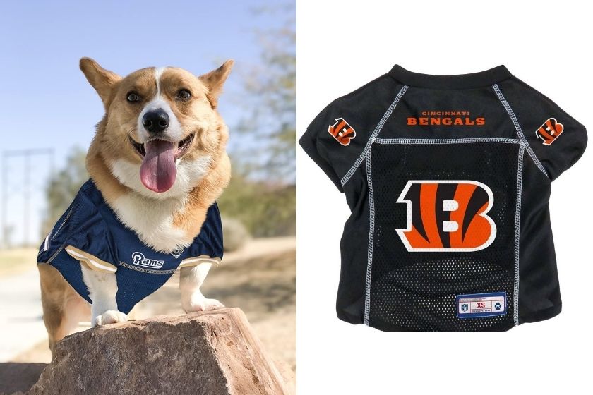 Pets First NFL Detroit Lions Cheerleader Outfit, 3 Sizes Pet Dress  Available. Licensed Dog Outfit 