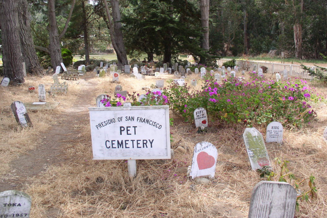 haunted pet cemeteries