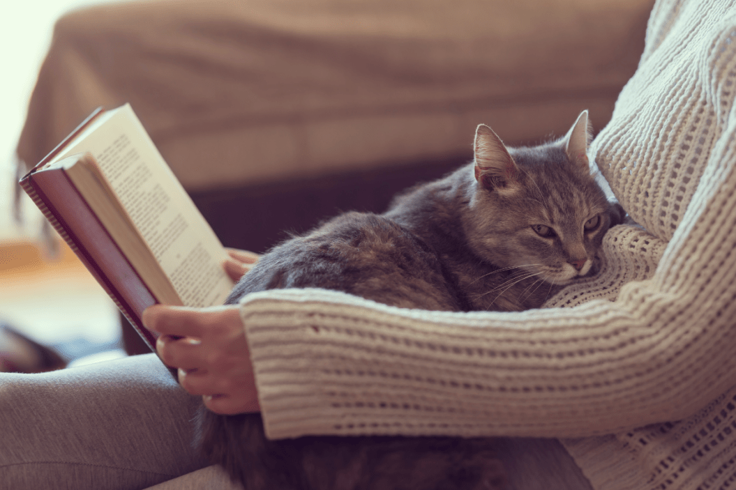 cat books