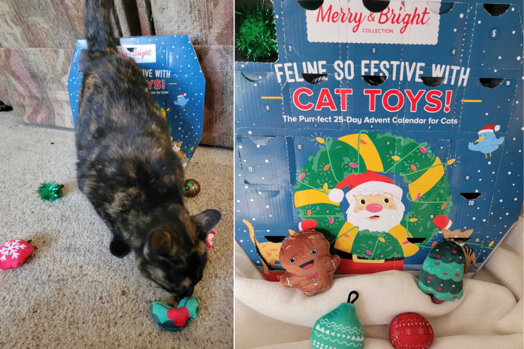 cat toy advent calendar