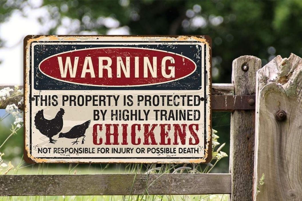 Funny Protected by Chickens Sign
