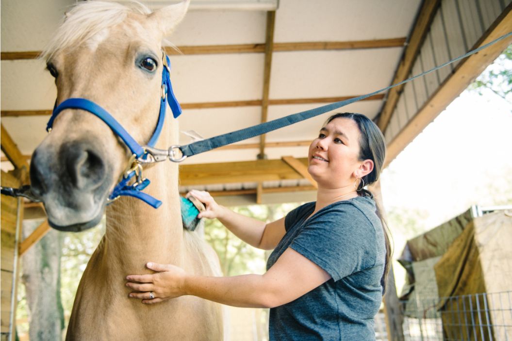 a woman grooms a horse in a barn