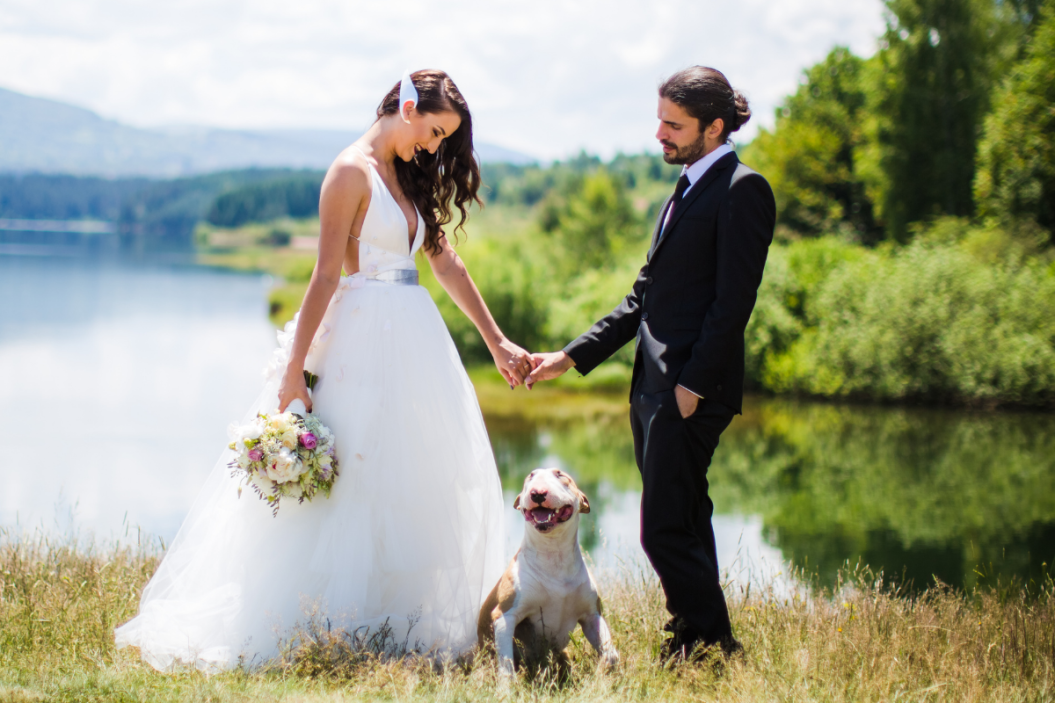 couple stand in wedding attire with their dog