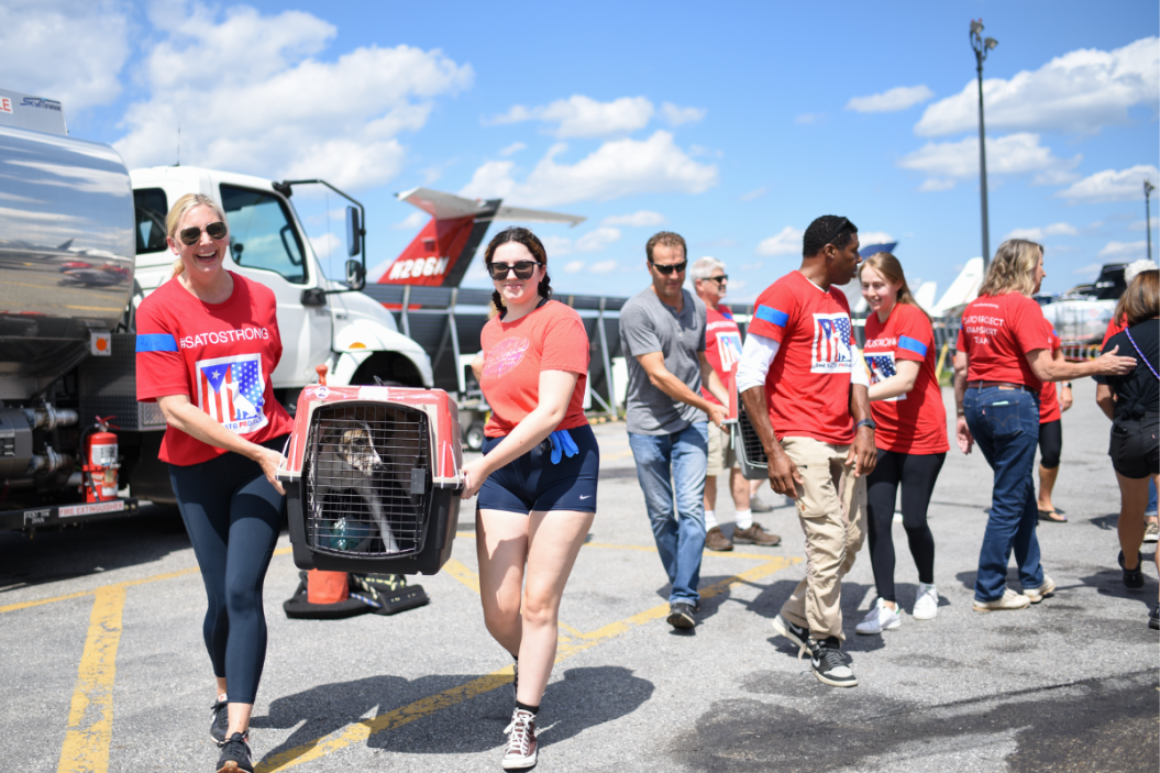 The Sato project volunteers carry pets from airplane